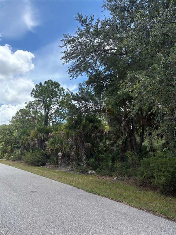 A paved road runs alongside a wooded lot with various trees and palm plants — 17403 GALAHAD AVENUE, PORT CHARLOTTE, FL