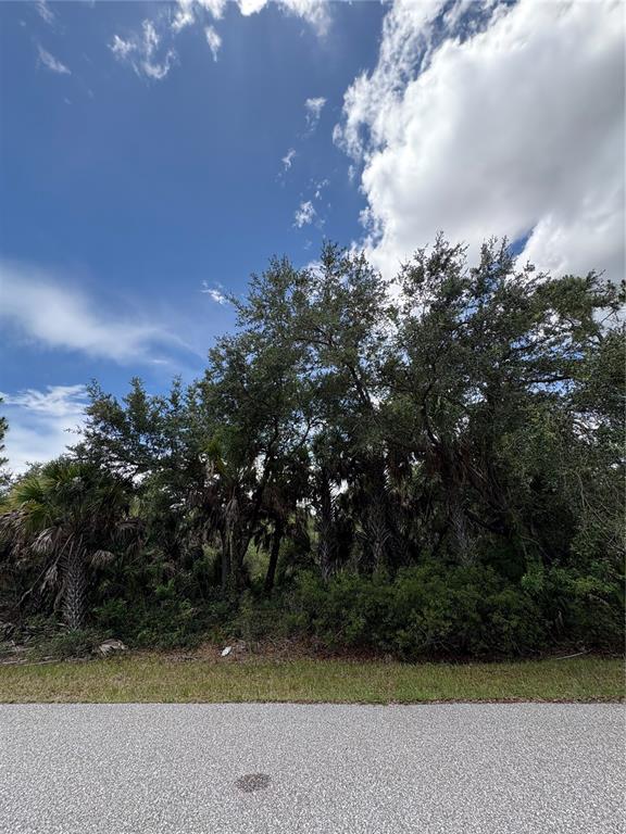 A paved road runs in front of a wooded lot with palm trees and oaks — 17403 GALAHAD AVENUE, PORT CHARLOTTE, FL