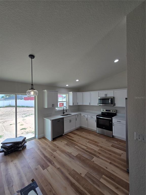 A kitchen with white cabinets, stainless steel appliances, and wood-look flooring overlooks a backyard — 3 WALNUT RUN COURT, OCALA, FL
