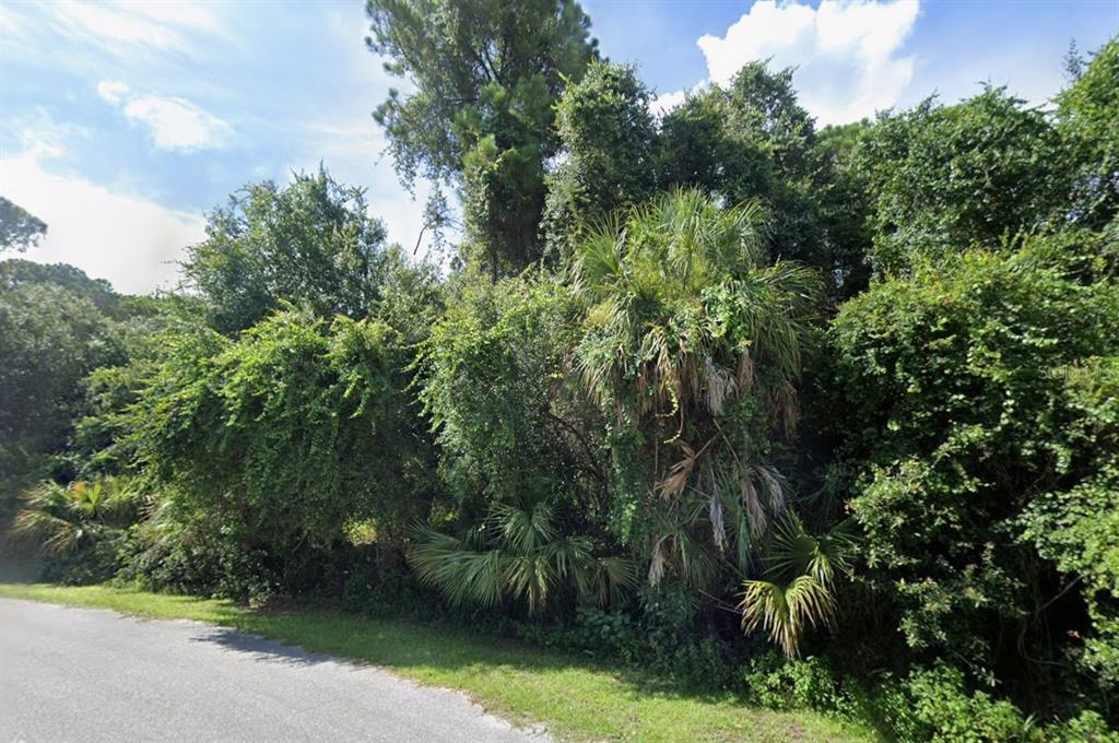 A dense, overgrown wooded lot sits beside a paved road under a blue sky — Lot 36 GALAMBOS STREET, NORTH PORT, FL