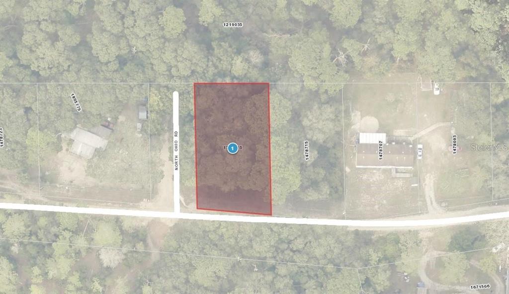 This is an aerial map showing a rectangular, wooded lot outlined in red — NORTH ROAD, ALTOONA, FL