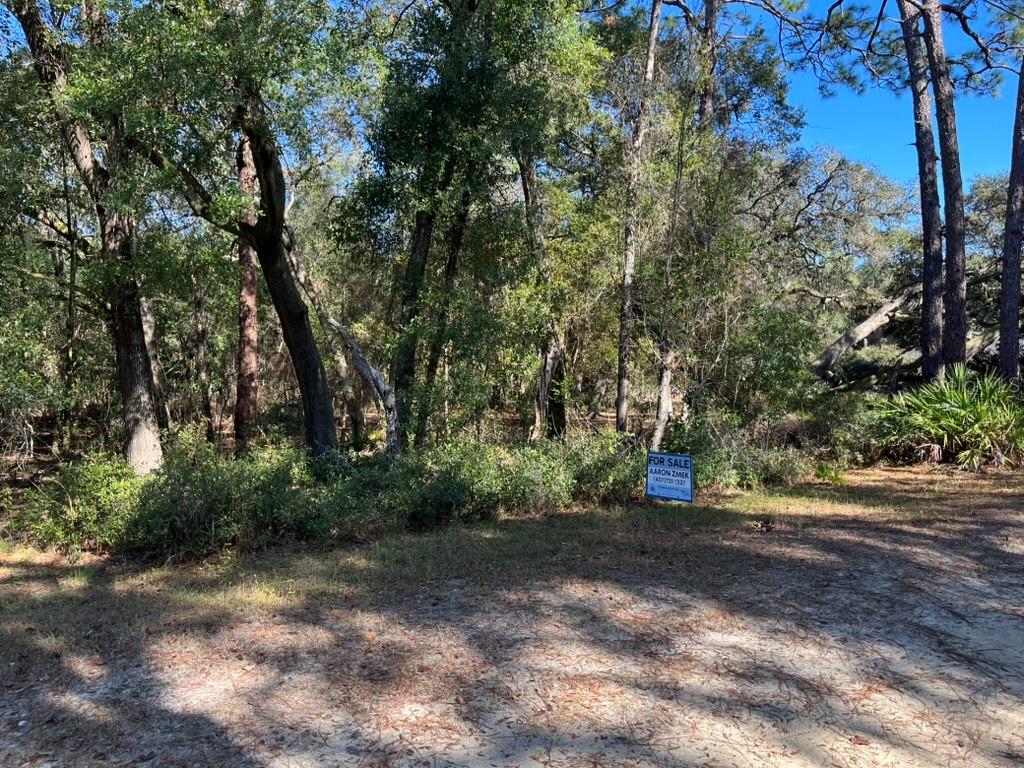 A wooded lot with a for sale sign sits under a clear blue sky — NORTH ROAD, ALTOONA, FL