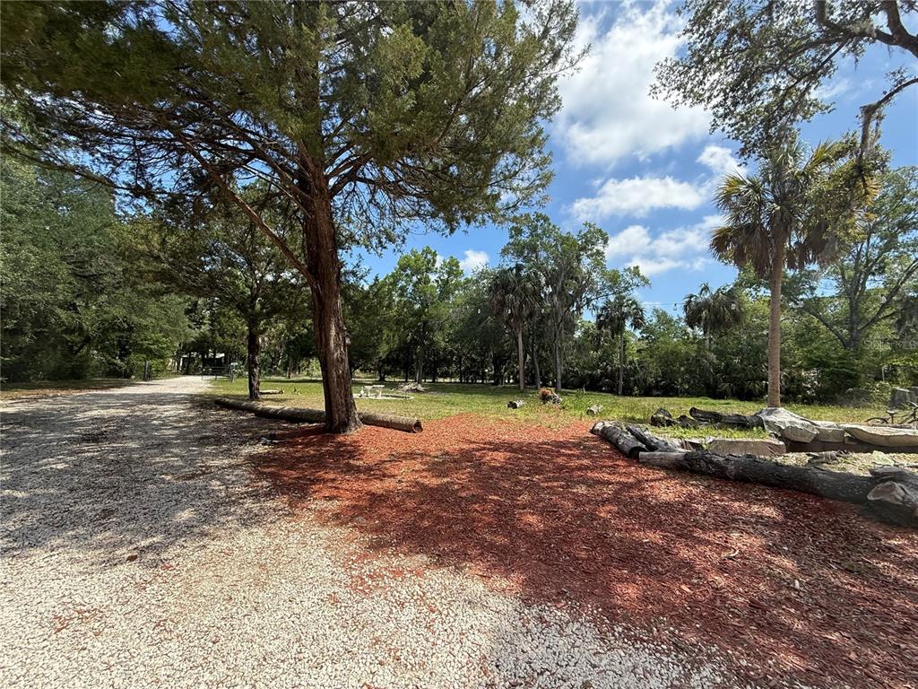 A gravel driveway leads to a grassy yard with mature trees and scattered logs — 186 GLADYS AVENUE, INGLIS, FL