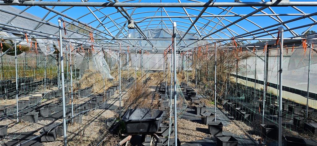 An interior view of a large, metal-framed greenhouse containing rows of black plastic planting pots — 3557 KOKOMO ROAD, HAINES CITY, FL