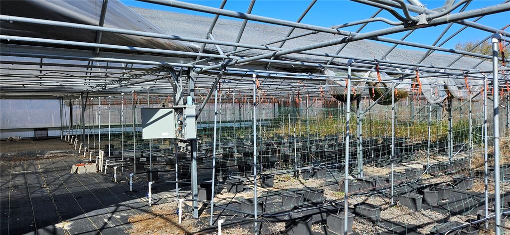 An interior view of a greenhouse structure with rows of black planting containers and netting — 3557 KOKOMO ROAD, HAINES CITY, FL
