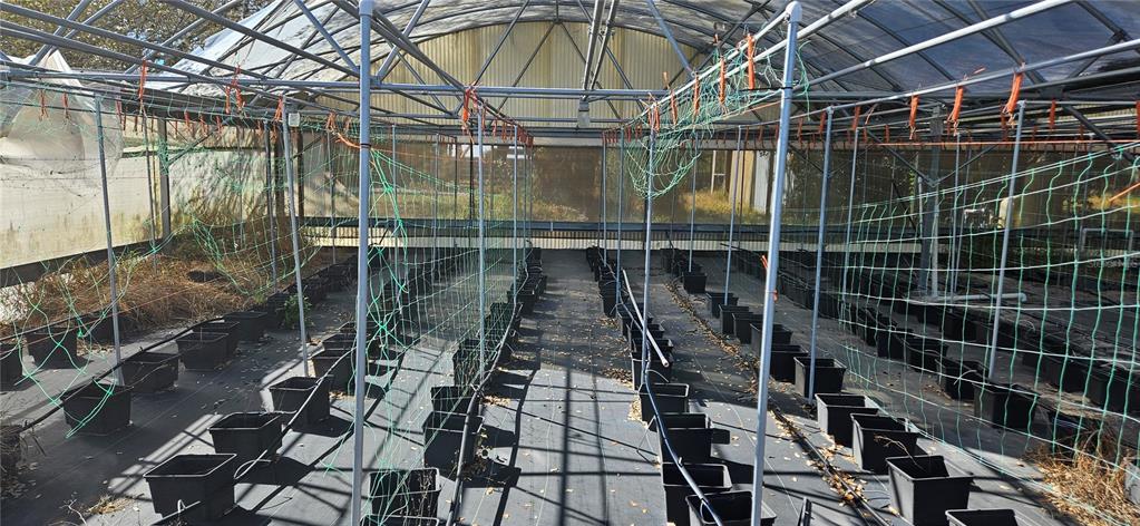 A greenhouse interior features rows of black planting pots and green trellising netting — 3557 KOKOMO ROAD, HAINES CITY, FL