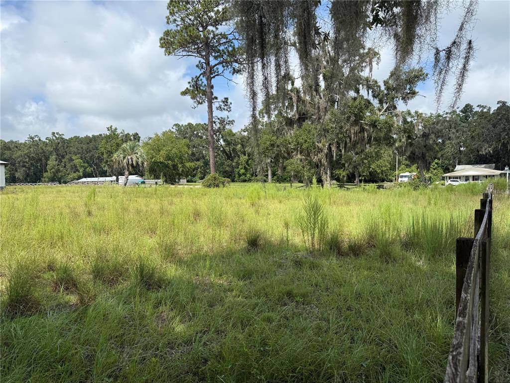 A grassy, fenced-in lot features tall trees draped with Spanish moss under a cloudy sky — 16817 NW STATE ROAD 45, HIGH SPRINGS, FL