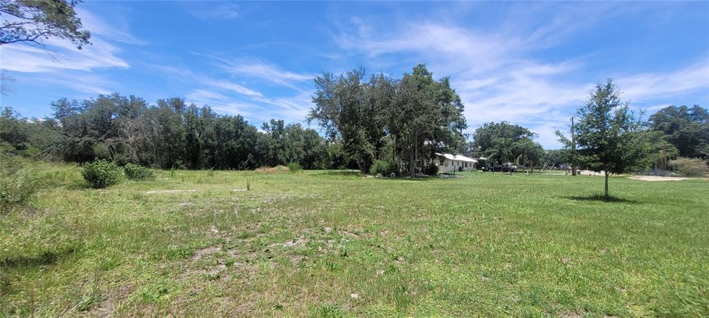 A grassy, open lot features scattered trees and a house in the distance — 2298 SW LOIS AVENUE, ARCADIA, FL