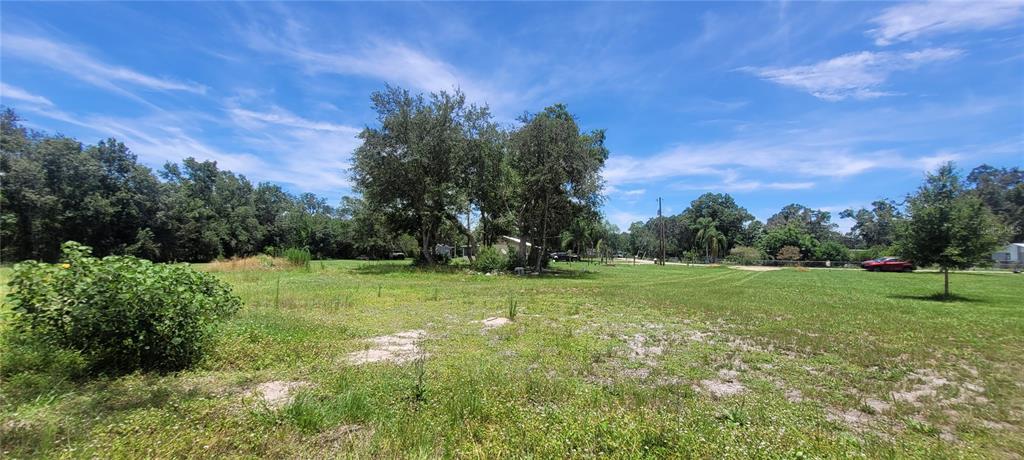 A large, grassy, undeveloped lot features scattered trees under a bright blue sky — 2298 SW LOIS AVENUE, ARCADIA, FL