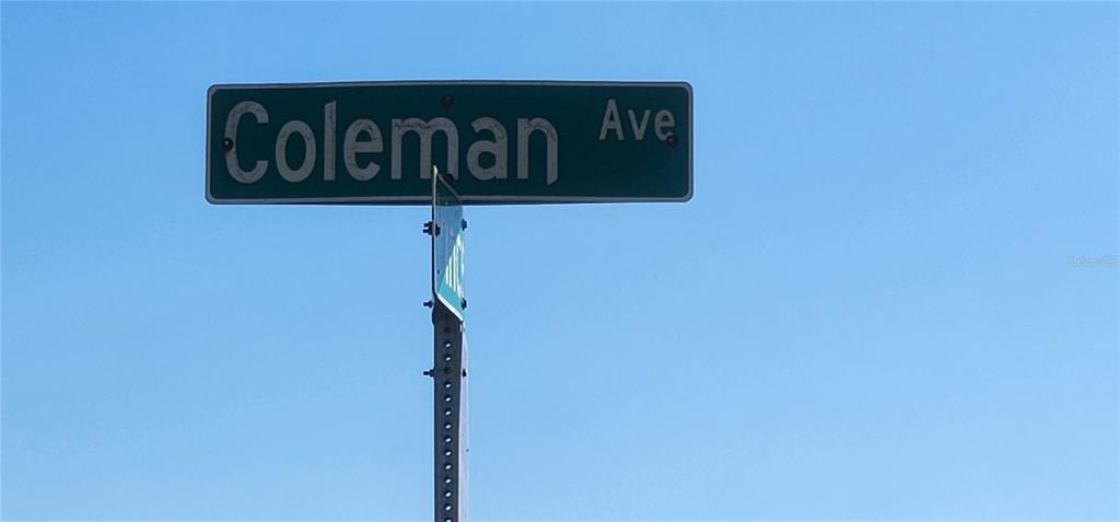 A green street sign reads Coleman Ave against a clear blue sky — 12006 COLEMAN AVENUE, PORT CHARLOTTE, FL