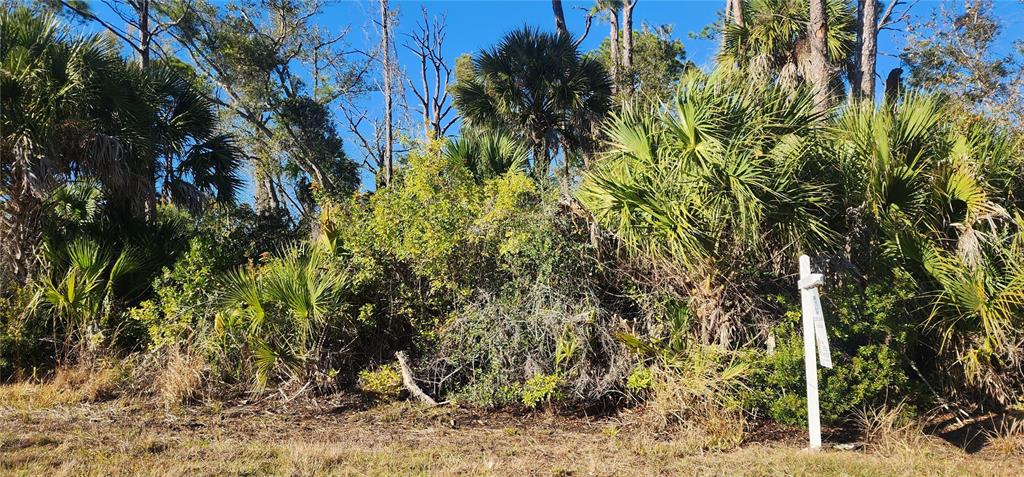 A vacant, wooded lot features dense vegetation, palm trees, and a white real estate sign — 12006 COLEMAN AVENUE, PORT CHARLOTTE, FL