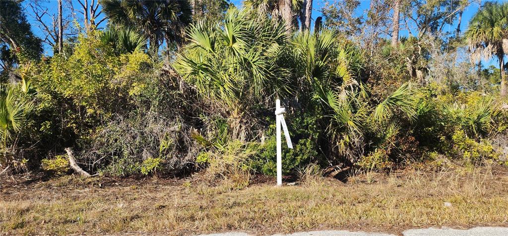A vacant, wooded lot features dense vegetation and a white real estate sign — 12006 COLEMAN AVENUE, PORT CHARLOTTE, FL