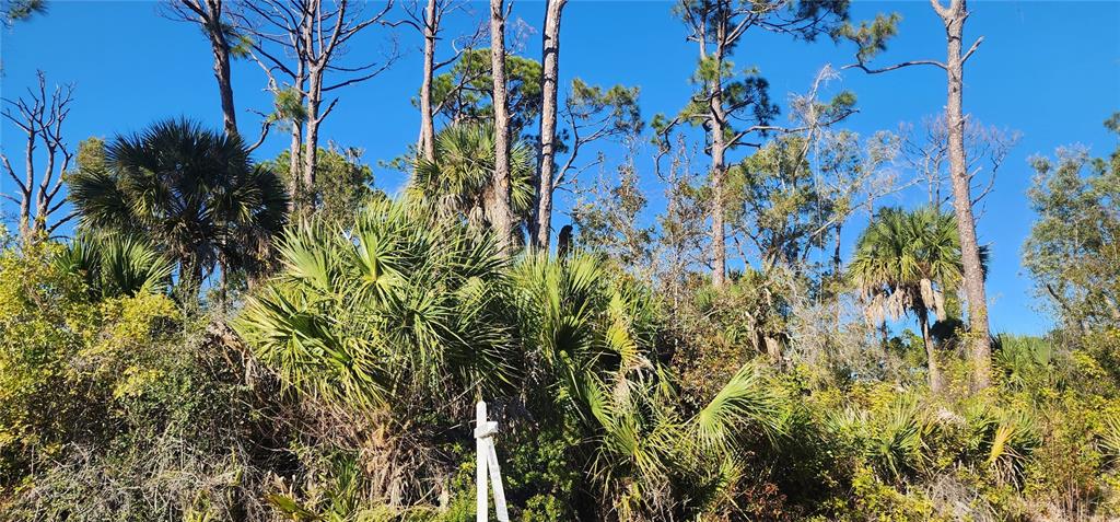 A white survey marker stands in front of dense Florida vegetation, palm trees, and pine trees — 12006 COLEMAN AVENUE, PORT CHARLOTTE, FL