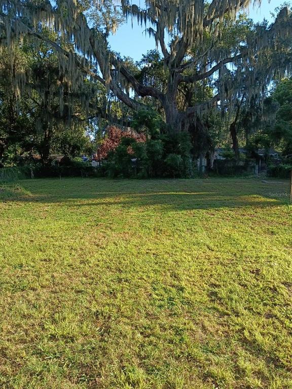 A grassy, vacant lot features a large, mature oak tree draped in Spanish moss — 1413 39TH STREET, ORLANDO, FL