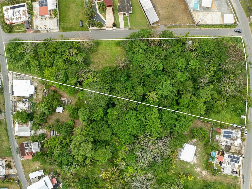 An aerial view shows a large, tree-covered vacant lot outlined in white — PR-442 CORNER MUNICIPAL STREET, AGUADA, PR