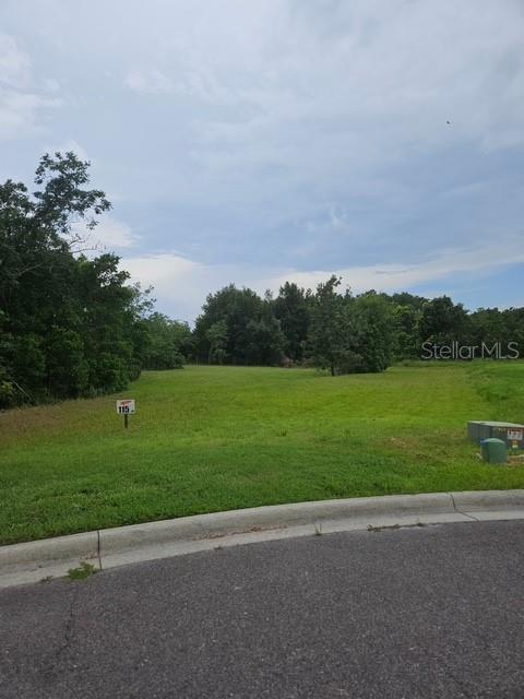 A vacant, grassy residential lot sits behind a paved street under a cloudy sky — 26116 ESTATES RIDGE DRIVE, SORRENTO, FL