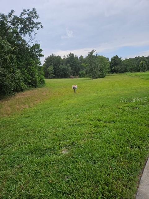 A grassy, vacant lot features a small sign marked 115 and is bordered by trees — 26116 ESTATES RIDGE DRIVE, SORRENTO, FL