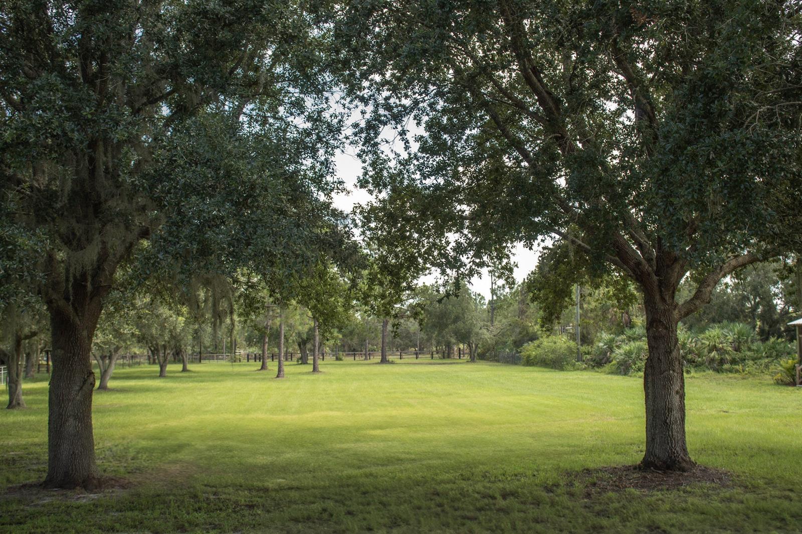 A large, grassy backyard features several mature oak trees with Spanish moss — 24770 SW 95th Street, FL 34956, FL