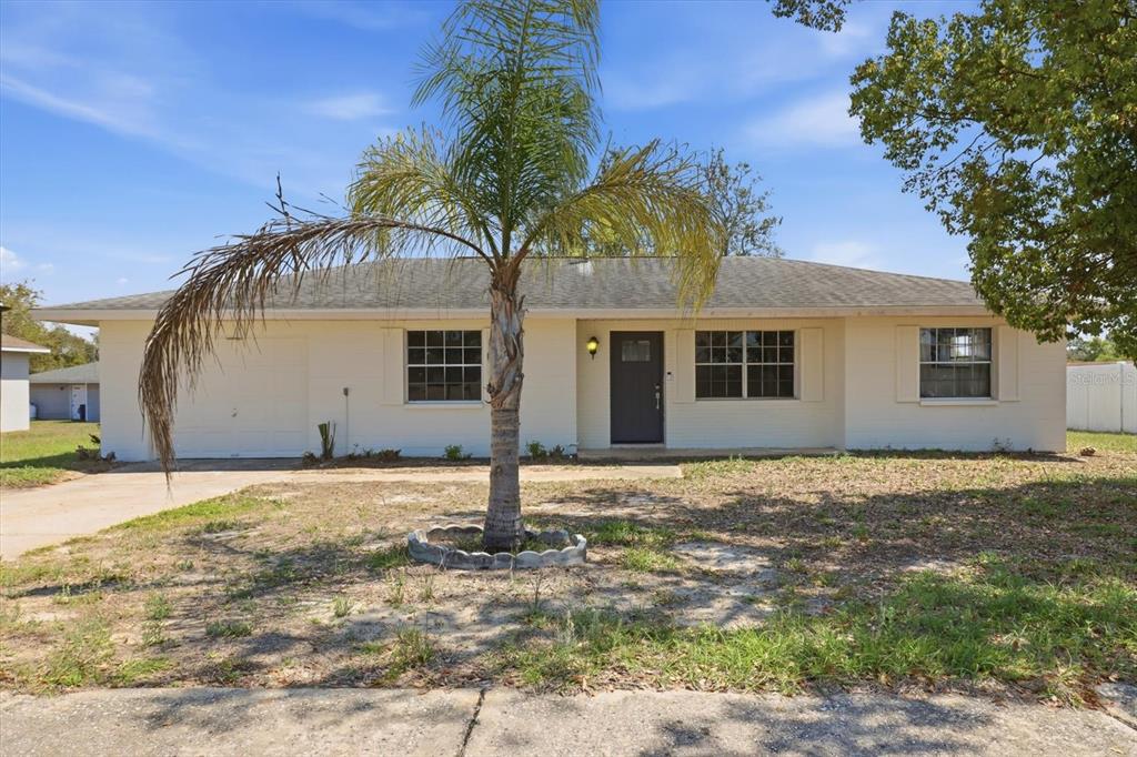 A single-story house with a light-colored exterior, a palm tree, and a dark front door — 5188 WOODRIDGE LANE, SPRING HILL, FL