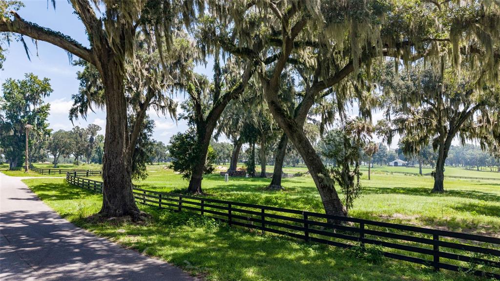 A paved road runs alongside a fenced grassy pasture shaded by large, moss-draped oak trees — 15479 SE 57TH TERRACE, SUMMERFIELD, FL