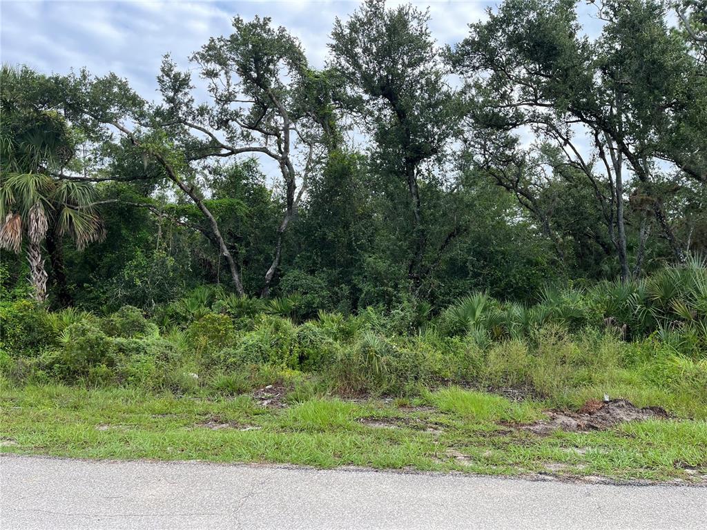 A view of a densely wooded, undeveloped lot featuring tall trees and low-lying vegetation — 17084 JOHNS AVENUE, PORT CHARLOTTE, FL