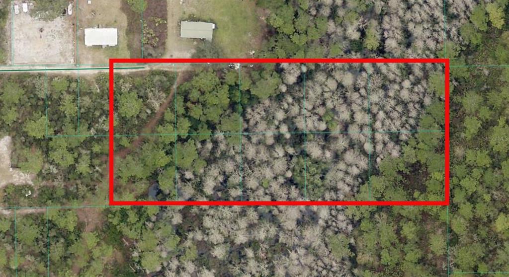 An aerial view shows a rectangular plot of wooded land outlined in red — TBD NE 156TH LANE, FORT MC COY, FL