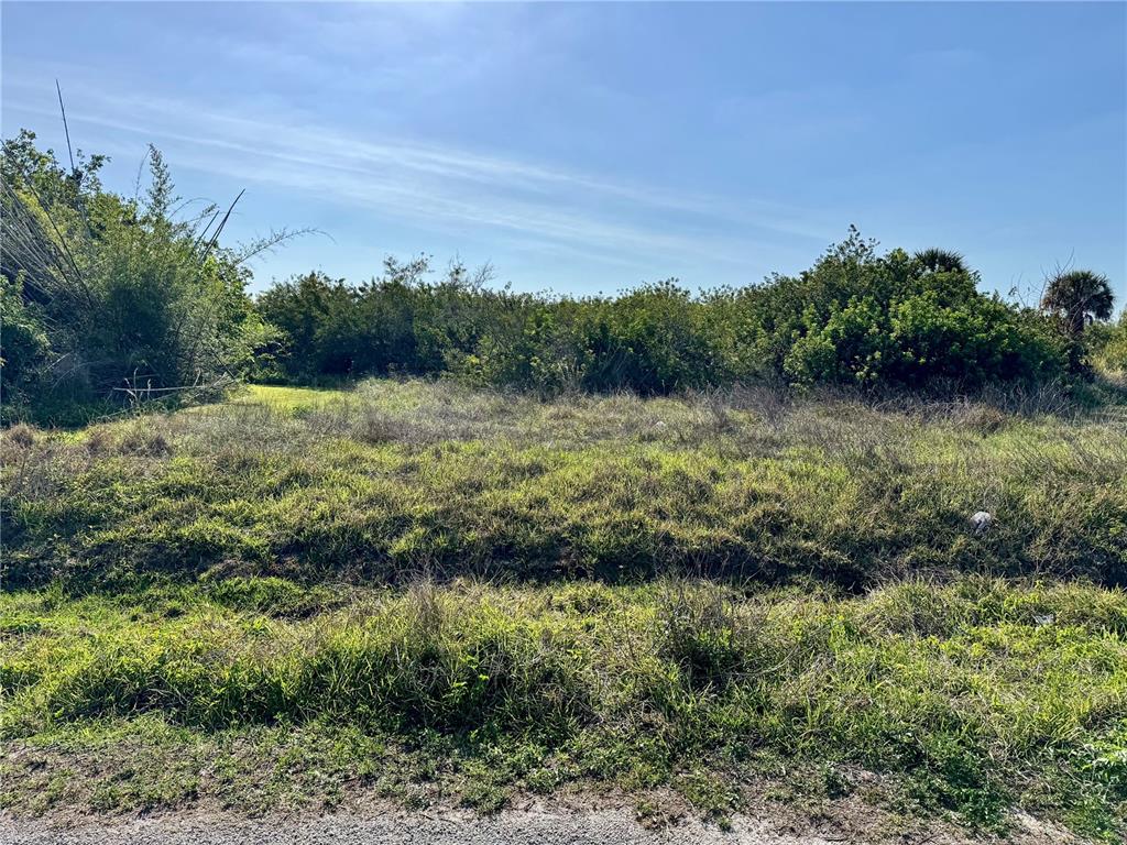 A vacant, grassy lot with dense brush and trees under a clear blue sky — MONZA AVENUE, NORTH PORT, FL