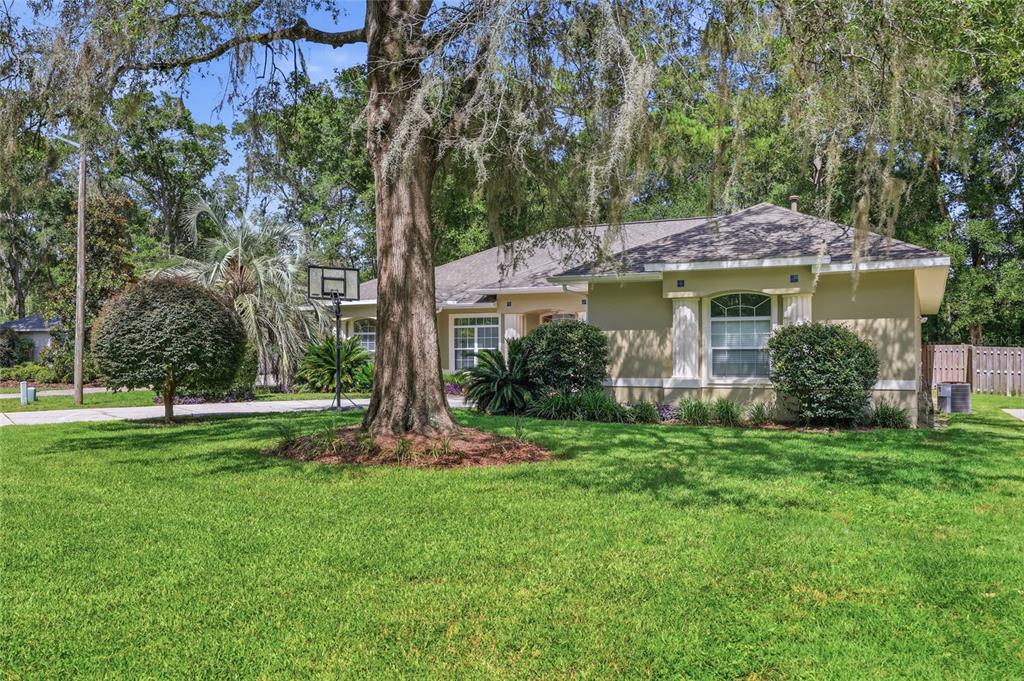 A single-story house with a tan exterior, a large oak tree, and a basketball hoop — 2015 NW 89TH DRIVE, GAINESVILLE, FL