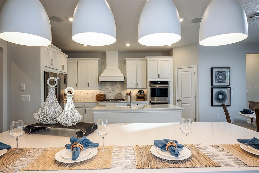 19326 LOCHSIDE LANE, MOUNT DORA, FL — photo 3 of 30