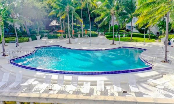 A curved swimming pool is surrounded by lounge chairs and palm trees on a sunny day — 750 NE 64th St # B316, Miami FL 33138, MIAMI, FL