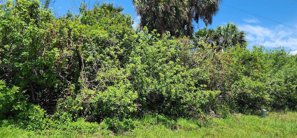 A dense thicket of green trees and shrubs stands behind a patch of mowed grass — 104 BEBB COURT, ROTONDA WEST, FL