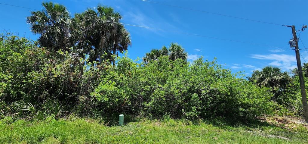 A dense, overgrown lot with palm trees and a utility pole under a blue sky — 104 BEBB COURT, ROTONDA WEST, FL