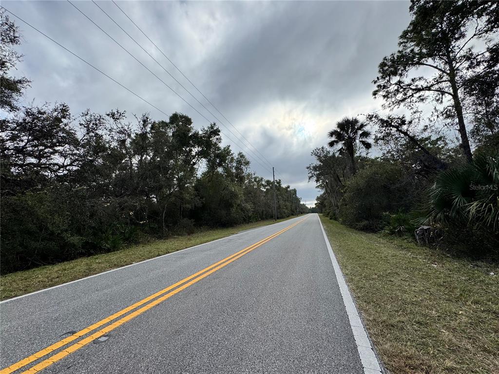 A paved road with double yellow lines runs through a wooded area under a cloudy sky — REYNOLDS, LOT 0420 ROAD Lot 0420, DE LEON SPRINGS, FL