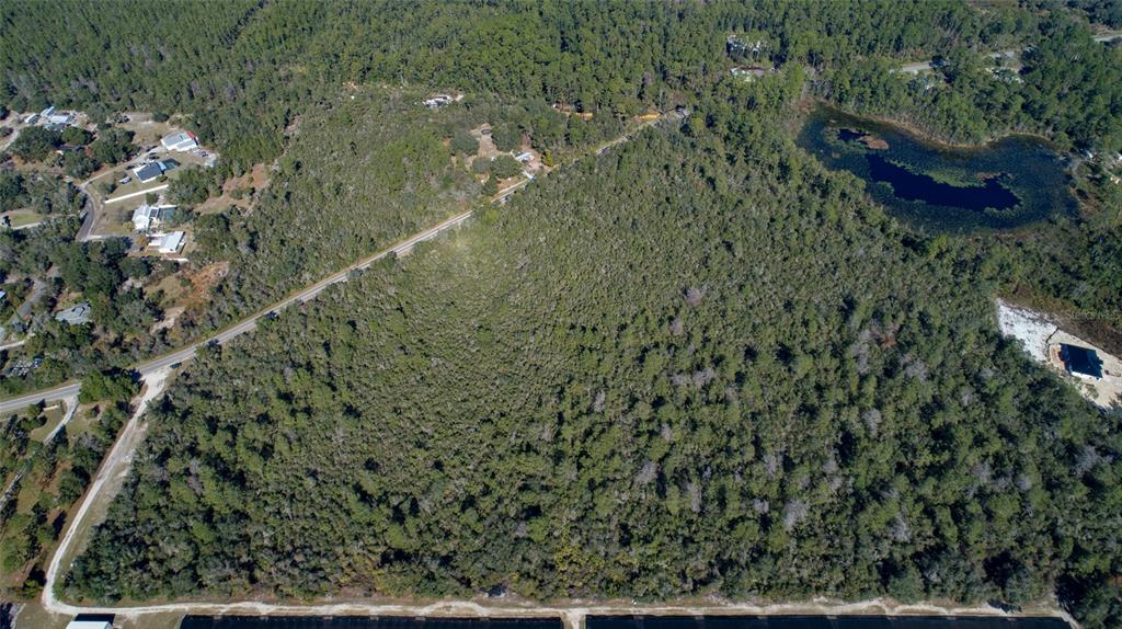 An aerial view shows a large, wooded plot of land bordered by a road and pond — REYNOLDS, LOT 0420 ROAD Lot 0420, DE LEON SPRINGS, FL