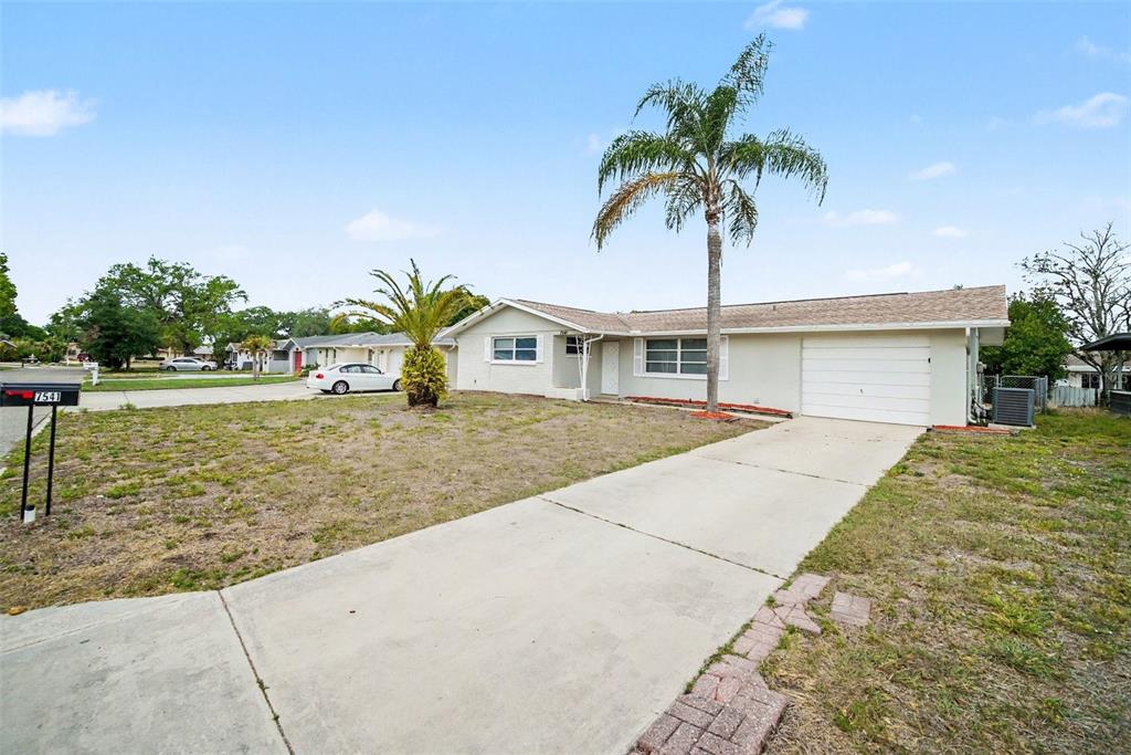 A single-story house with a white garage, a concrete driveway, and two palm trees — 7541 SPIREA DRIVE, PORT RICHEY, FL