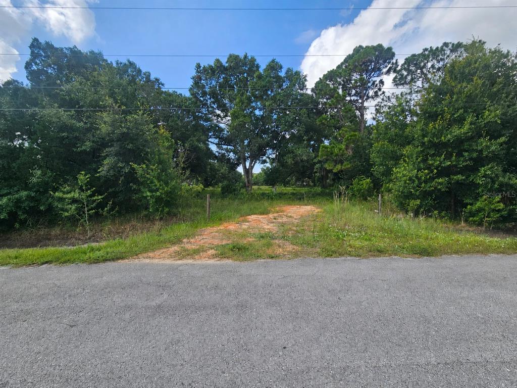 A vacant, wooded lot with a dirt driveway entrance viewed from an asphalt road — 3309 ELAINE DRIVE, LORIDA, FL