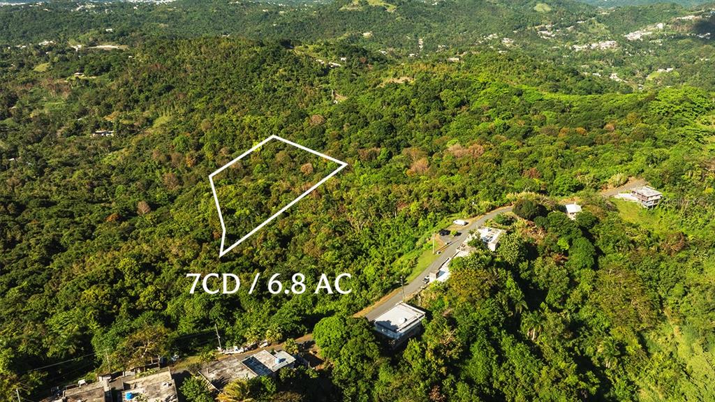 Carr 853 BO. CACAO LOTE 15