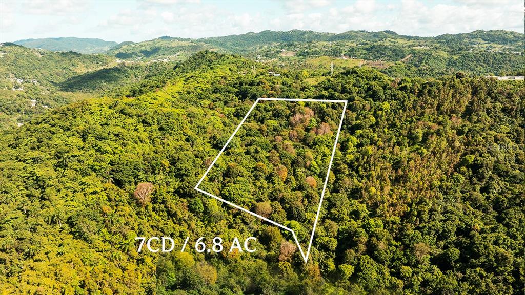 An aerial view shows a plot of forested land outlined in white on a hillside — Carr 853 BO. CACAO LOTE 15, CAROLINA, PR