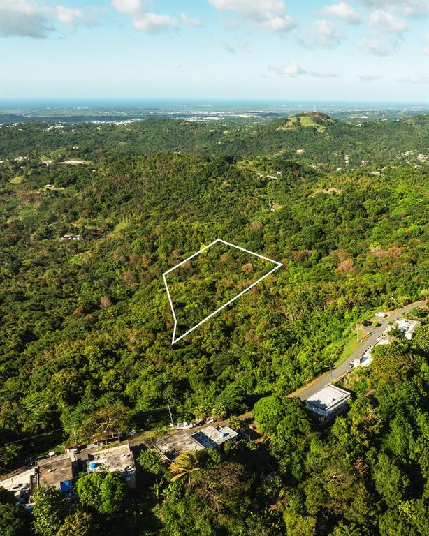 An aerial view of a wooded hillside lot outlined in white near a residential road — Carr 853 BO. CACAO LOTE 15, CAROLINA, PR