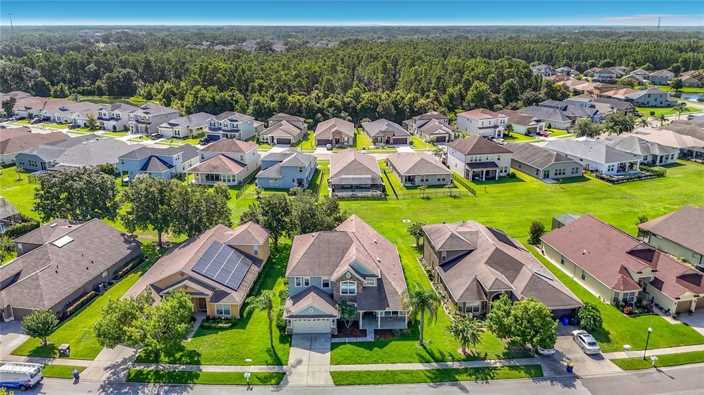 An aerial view shows a suburban neighborhood with single-family homes and a large wooded area — 4736 POINTE O WOODS DRIVE, WESLEY CHAPEL, FL