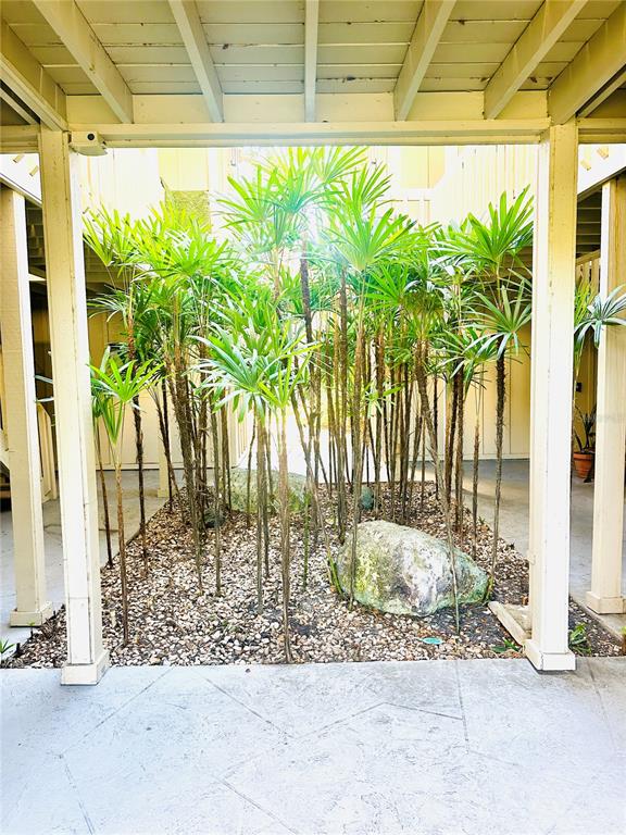 A cluster of palm plants grows in a gravel bed beneath a covered outdoor walkway — 2200 BAHIA VISTA ST UNIT B3, SARASOTA, FL
