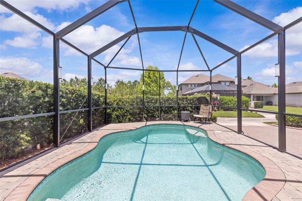 A screened-in swimming pool with a paver deck and a hedge-lined backyard — 13353 BATTEN LANE, ODESSA, FL