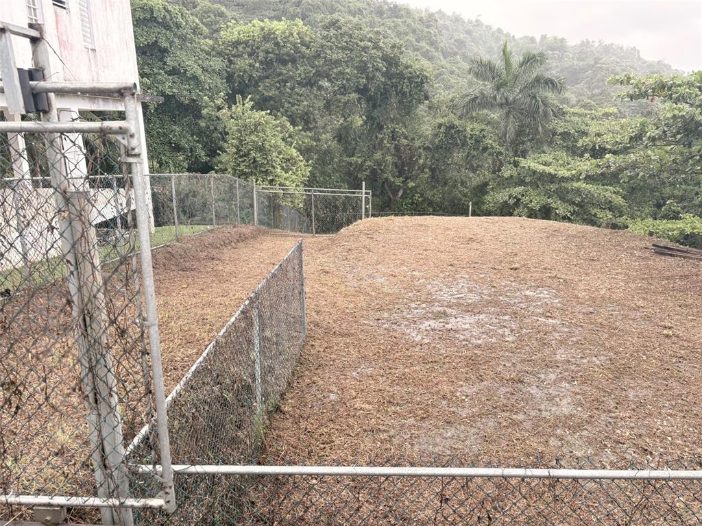BO PITAHAYA, LUQUILLO, PR — photo 2 of 7