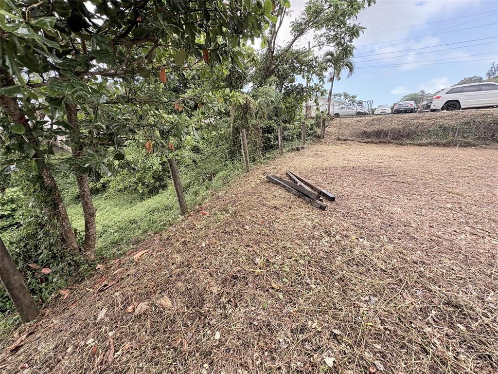 BO PITAHAYA, LUQUILLO, PR — photo 4 of 7