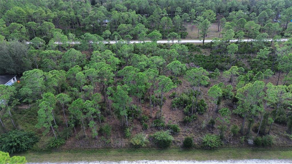 An aerial view shows a wooded, undeveloped lot with pine trees and low-lying vegetation — 28059 CRESTWOOD DRIVE, PUNTA GORDA, FL
