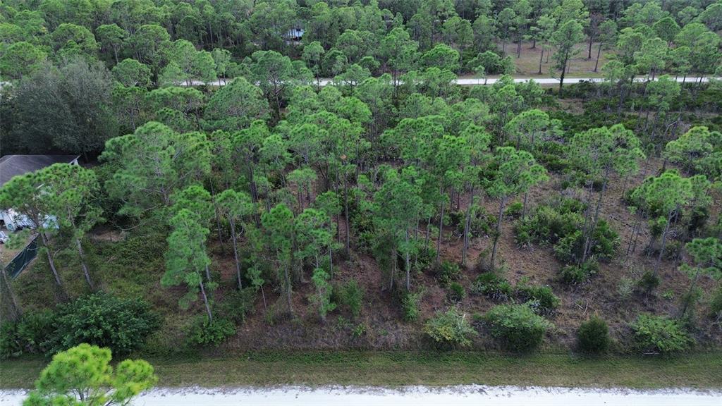An aerial view shows a wooded lot with pine trees bordering a sandy road — 28059 CRESTWOOD DRIVE, PUNTA GORDA, FL