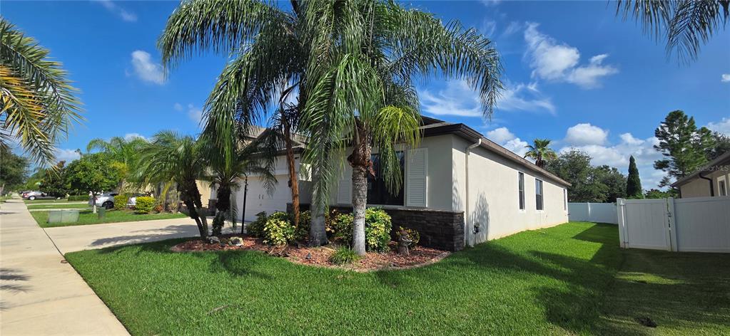 A single-story house with a palm tree in the front yard and a white fence — 13807 FELIX WILL ROAD, RIVERVIEW, FL