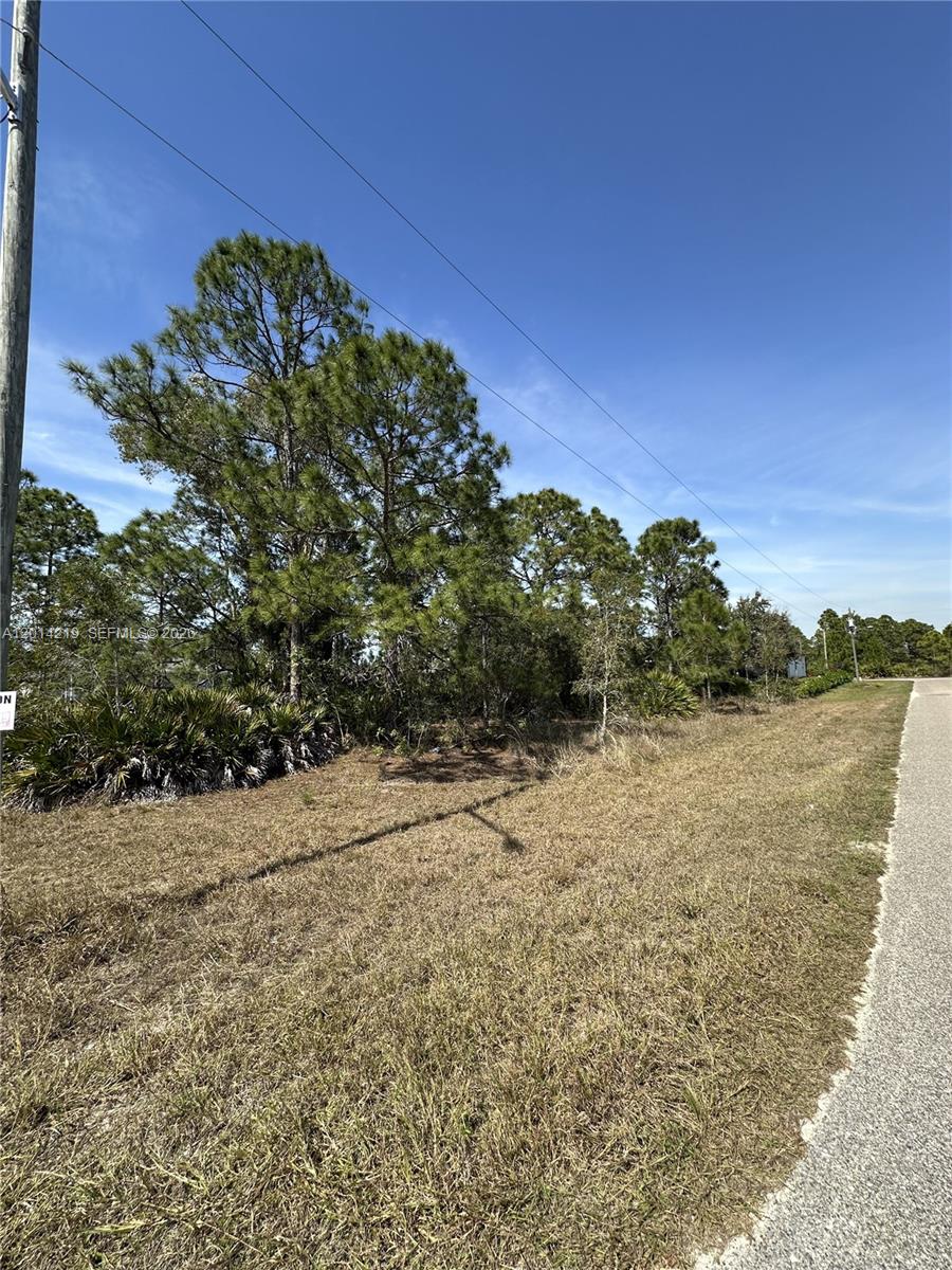 A grassy, undeveloped lot features scattered pine trees and low-lying vegetation along a paved road — 2900 33rd St W, Lehigh Acres FL 33971, LEHIGH ACRES, FL