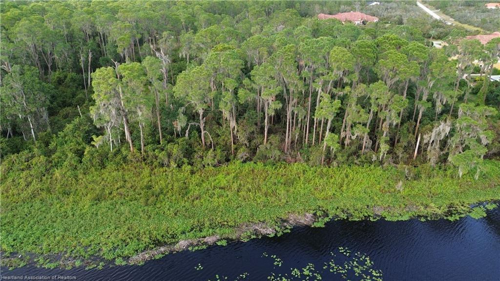 An aerial view shows a dense forest bordering a lake with lily pads — 3029 Hawks Landing Circle, Sebring FL 33875, SEBRING, FL