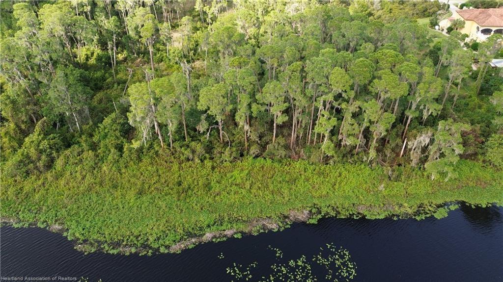 An aerial view shows a wooded lot bordering a lake with a house nearby — 3029 Hawks Landing Circle, Sebring FL 33875, SEBRING, FL
